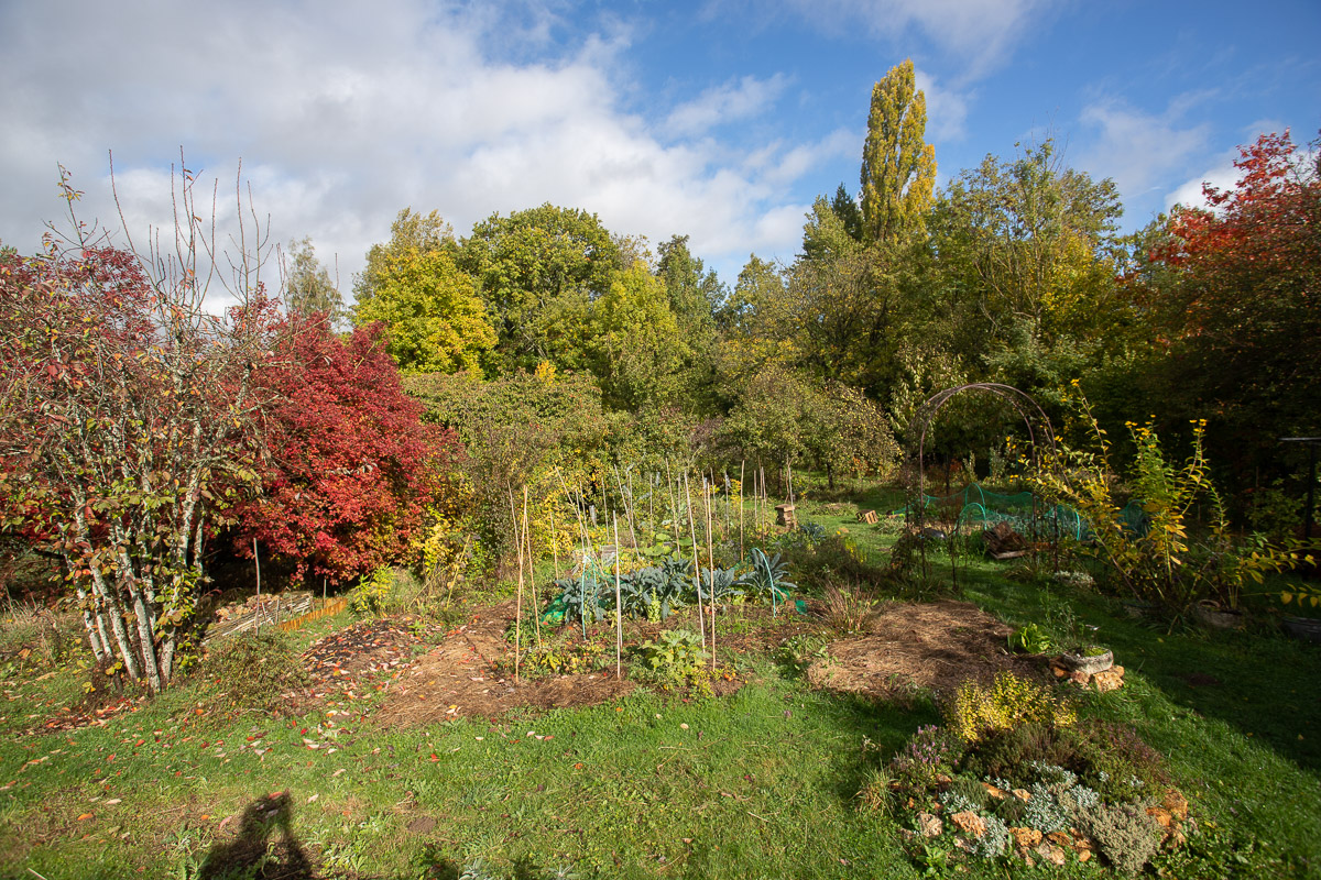 Carnets Du Jardin Octobre Le Jardin Qui Se Mange