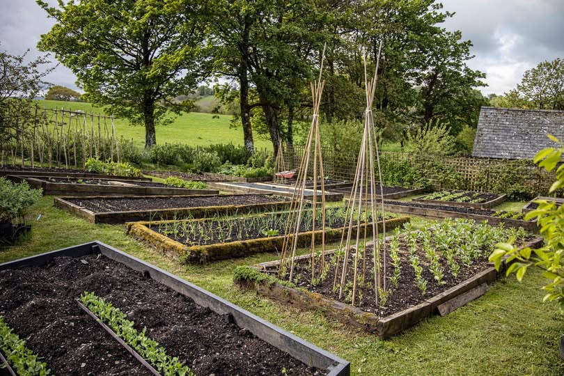 Bois et composite dans le jardin de Huw Richards.